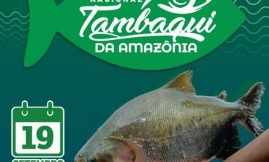 Venda de pescado em Porto Alegre beneficiará o projeto WimBelemDon