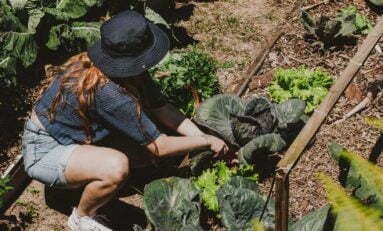 Turismo regenerativo: conheça a pousada na Praia do Rosa que coloca o conceito em prática