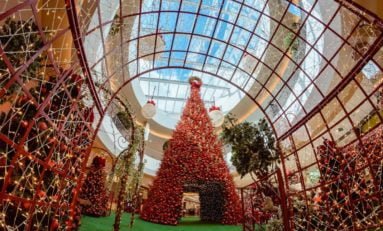 Natal 2021 do BarraShoppingSul vai celebrar a magia dos reencontros