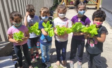 Escola rural de Montenegro recebe apoio da indústria Polo Films