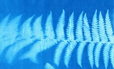 Artista Andréa Brächer participa de exposição coletiva da Galeria Tato, em São Paulo