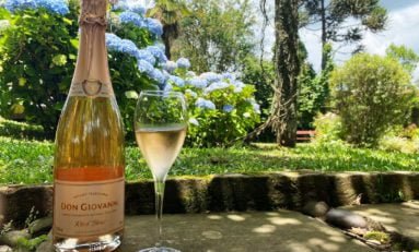 Vinícola Don Giovanni lança seu novo espumante Rosé Brut Pinot Noir