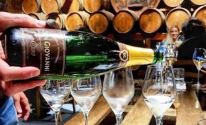 Vinícola Don Giovanni mantém foco na agricultura sustentável na vindima 2022