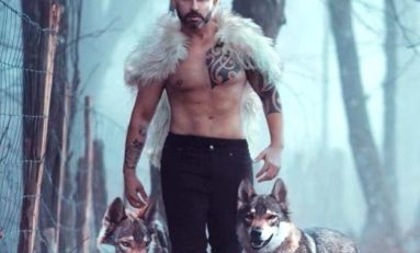 O Cruzeiro Colorido estreia em agosto