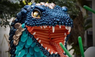 Balloons Art vence Copa do Mundo de Balões