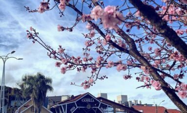 Rua Coberta de Canela promove Feira da Estação no sábado, 23 de julho