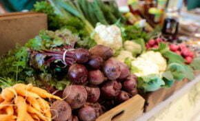 Feira de produtos naturais do BarraShoppingSul volta a ser realizada semanalmente 