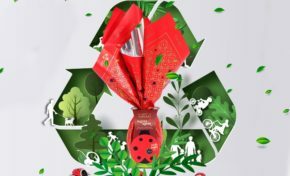 Polo Films: Sustentabilidade feita no coletivo