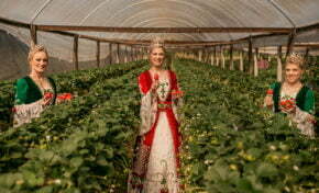 Festa Nacional do Moranguinho é marcada pela retomada da alegria e força do agronegócio