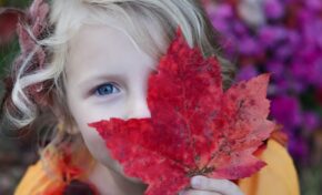 Pelotas garante valorização e investimento de construtora gaúcha