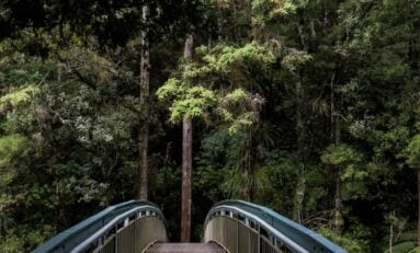 CIDADE CATARINENSE ATRAI INVESTIMENTO IMOBILIÁRIO COM ÊNFASE EM MEIO AMBIENTE