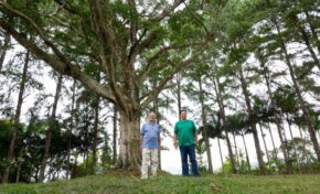 Empreendimento aproxima moradia conectada com natureza e investimento imobiliário