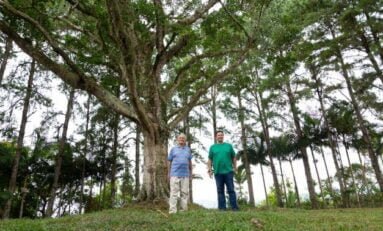 Empreendimento aproxima moradia conectada com natureza e investimento imobiliário