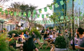 BarraMusic Sunset tem programação especial de Saint Patrick’s Day