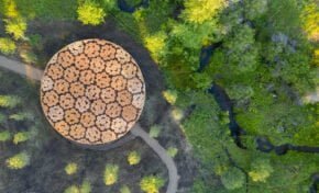 Instituto Ling e AsBEA-RS promovem programação especial para refletir sobre a arquitetura no mundo contemporâneo 