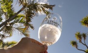 O Vinho no Cais está de volta ao Cais Embarcadero