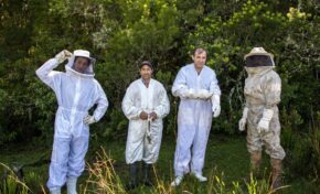 Consolidada no ramo da carne, loja amplia portfólio e aposta na produção de mel cru raro 