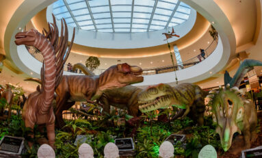 Programação de Férias Escolares