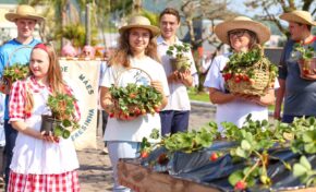20ª Festa Nacional do Moranguinho de 2023 é marcada pelo resgate da história da festa   
