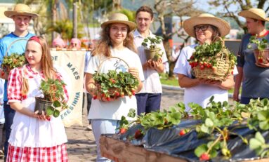 20ª Festa Nacional do Moranguinho de 2023 é marcada pelo resgate da história da festa   
