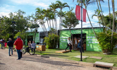 Olivas no Cais: evento de imersão à cultura do azeite de oliva chega a sua segunda edição