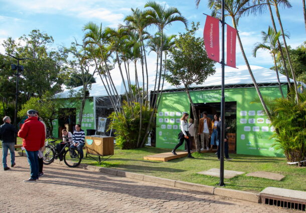 Olivas no Cais: evento de imersão à cultura do azeite de oliva chega a sua segunda edição