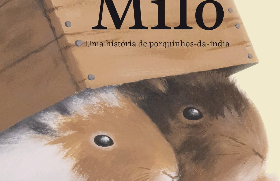 Quem viu Baby Milo por aí? Obra de Ana Stela Goldbeck teve como inspiração o ‘Jogo da Rata’