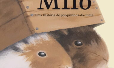 Quem viu Baby Milo por aí? Obra de Ana Stela Goldbeck teve como inspiração o ‘Jogo da Rata’