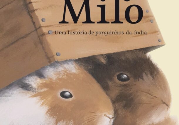 Quem viu Baby Milo por aí? Obra de Ana Stela Goldbeck teve como inspiração o ‘Jogo da Rata’