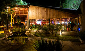 Asiana volta para onde tudo começou 