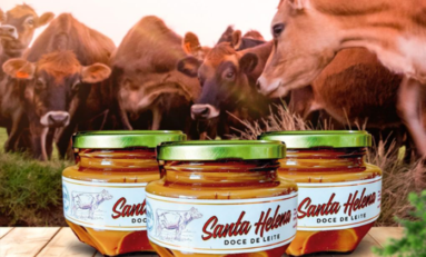 Criador de Braford premiado mundialmente diversifica atuação ao apostar na produção de Doce de Leite de Vaca Jersey na Campanha Gaúcha 