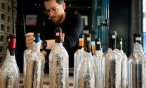 Um dos livros de vinho mais vendidos tem nova edição: ‘101 Vinhos Brasileiros - Edição 101 Produtores’