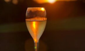 Vinícola Don Giovanni e Nature realizam a primeira edição da Festa das Safras 2024