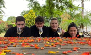 Primeira plataforma digital para vinícolas do Brasil busca aproximar o consumidor do vinho Brasileiro com novas funcionalidades