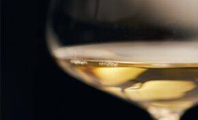 Brasil de Vinhos RECEBE: Temporada 3 de volta ao vivo