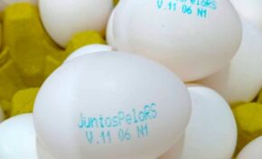 Juntos Pelo RS ganha impressão em ovos