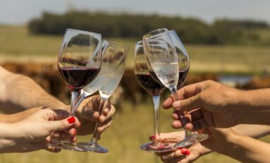 Vinhos com IP e DO marcam presença em evento sobre terroirs brasileiros em Gramado