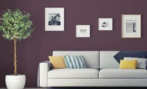 Manjericão Roxo como a Cor do Ano 2025