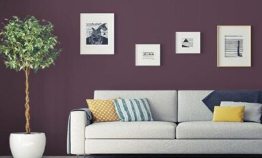 Manjericão Roxo como a Cor do Ano 2025