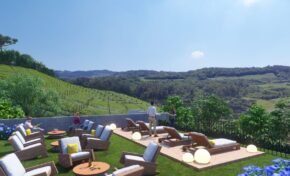 O encanto natural dos vinhedos gaúchos na Região Serrana do RS inspira o conceito do complexo Bacco Wine Heaven