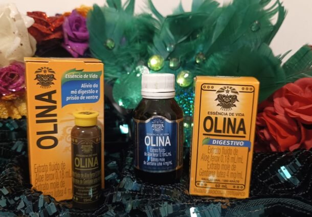 CINCO DICAS DA OLINA PARA CURTIR O CARNAVAL SEM PREOCUPAÇÕES