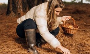 Parador celebra a Temporada dos Cogumelos com imersão gastronômica em meio à natureza de Cambará do Sul