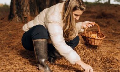Parador celebra a Temporada dos Cogumelos com imersão gastronômica em meio à natureza de Cambará do Sul