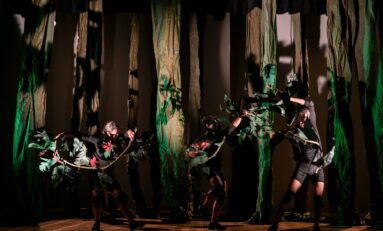 Amazônia Um Olhar Sobre a Floresta