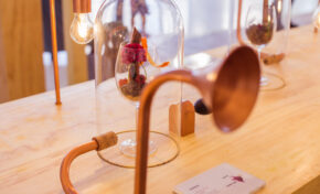 Wineyard chega ao BarraShoppingSul e oferece uma imersão sensorial no universo do vinho