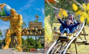 Capital Nacional dos Parques Temáticos, Canela tem dois parques entre os melhores do mundo