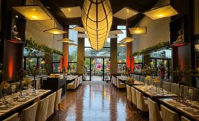 No Asiana, o bambu das luminárias também é arte 