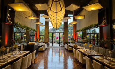 No Asiana, o bambu das luminárias também é arte 