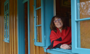 Rosane da Veiga Faria lança segundo livro da trilogia Árvore de Família, “A Casa das Sombras”