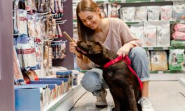 Mercado pet fortalece empreendedorismo em Guaíba